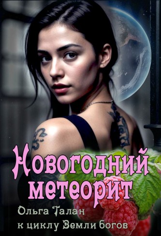 Обложка для книги Новогодний метеорит