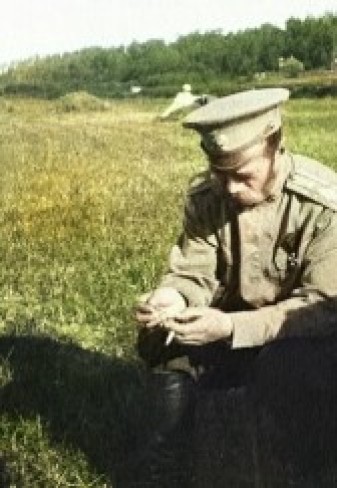 Обложка для книги Как нерешительность меняет мир или 4 разных дня из жизни императора России, Николай II.