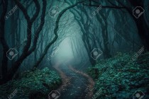 Обложка для книги По темной тропе