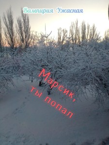 Обложка для книги Марсик, ты попал
